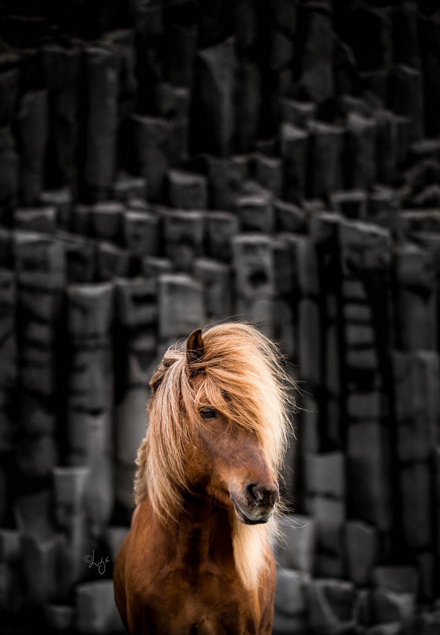 Cette photographe capture des chevaux dans des paysages d’Islande à couper le souffle et voici ses 30 plus beaux clichés
