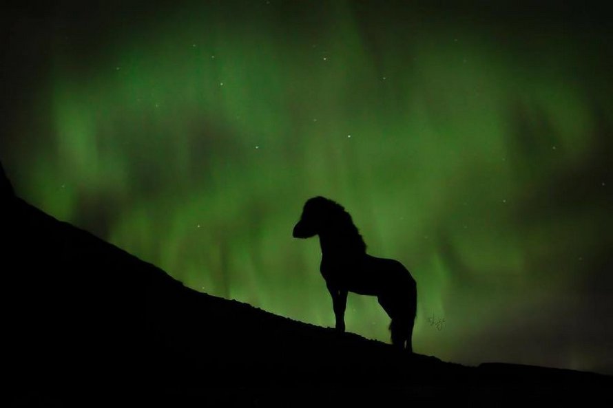 Cette photographe capture des chevaux dans des paysages d’Islande à couper le souffle et voici ses 30 plus beaux clichés