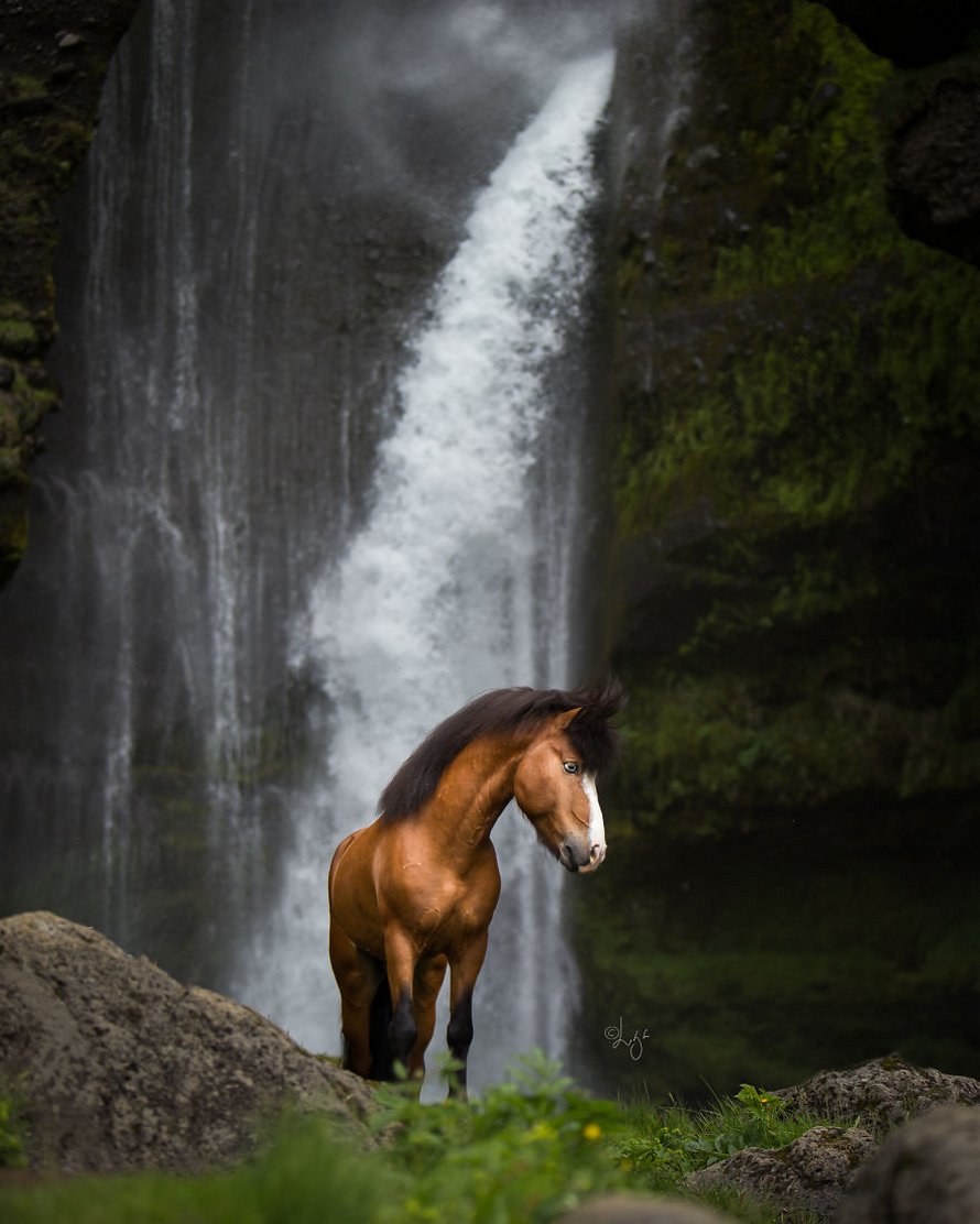 Cette photographe capture des chevaux dans des paysages d’Islande à couper le souffle et voici ses 30 plus beaux clichés