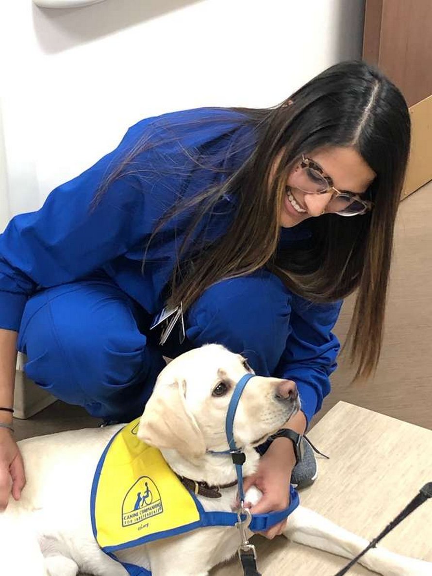 Cette chienne d’assistance réconforte le personnel soignant qui en a le plus besoin dans cet hôpital