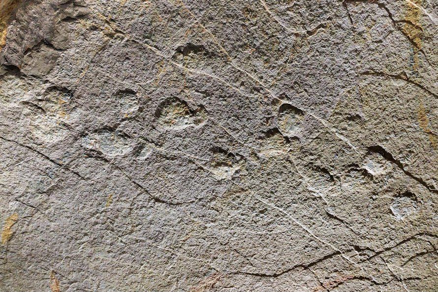 Des empreintes de dinosaures géantes découvertes sur le plafond d’une grotte en France