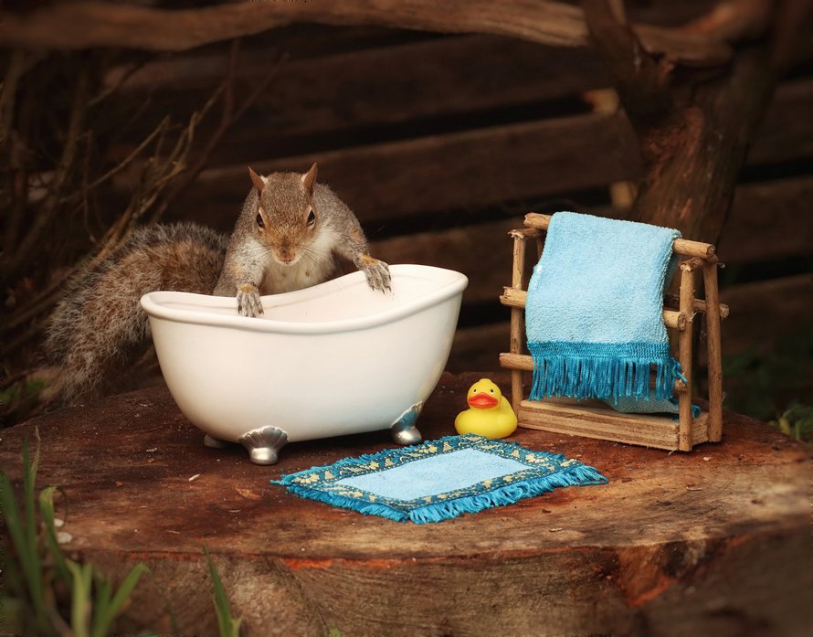 Une femme fabrique un petit lit pour les écureuils dans son jardin