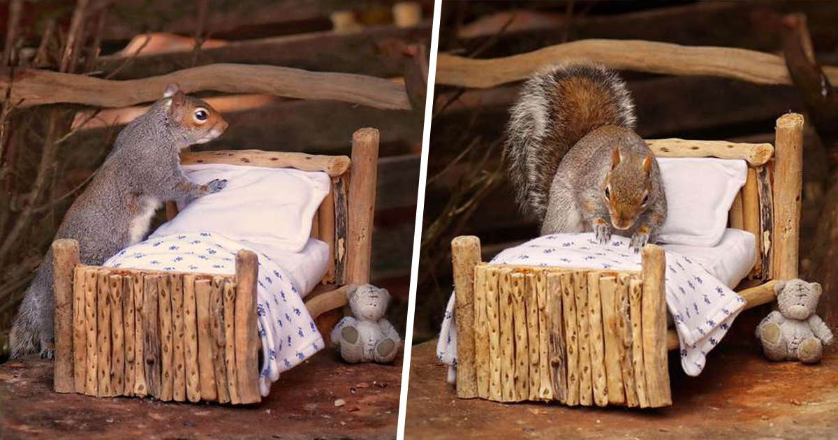 Une femme fabrique un petit lit pour les écureuils dans son jardin