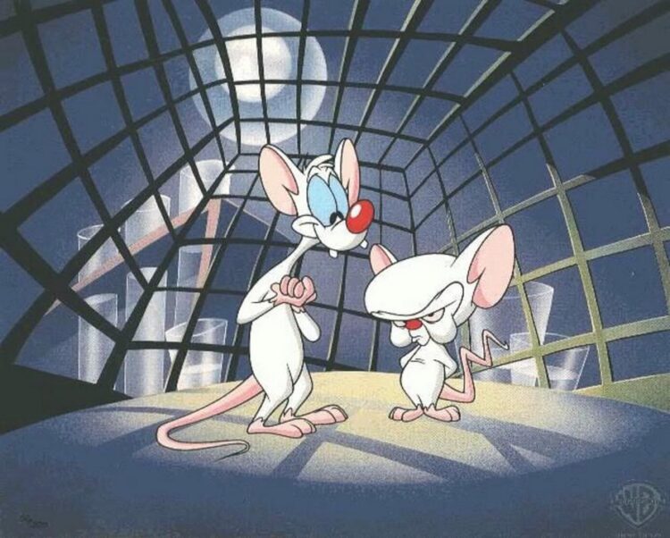 Minus Et Cortex Conquérir Le Monde Minus et Cortex seront de retour, a confirmé un acteur des Animaniacs