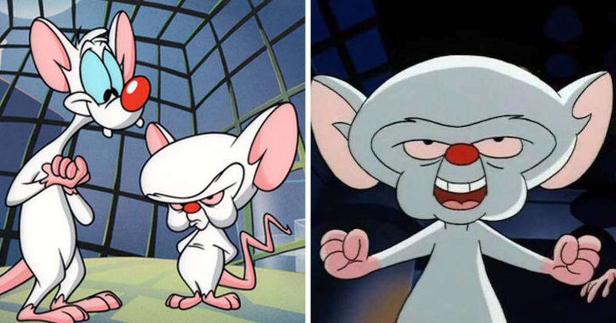 Minus Et Cortex Conquérir Le Monde Minus et Cortex seront de retour, a confirmé un acteur des Animaniacs