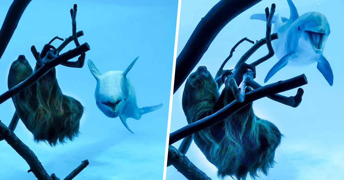 la rencontre des arts fous