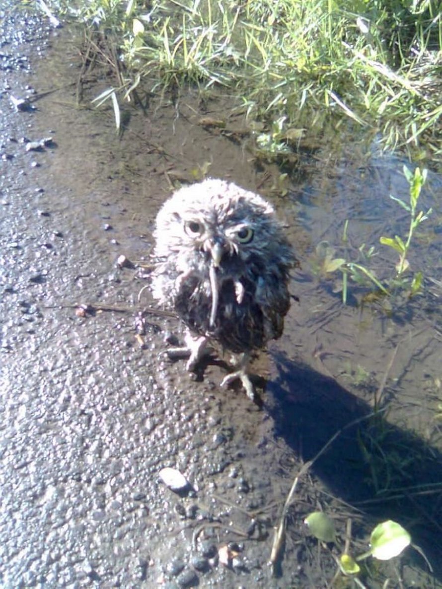 Ce groupe Facebook est dédié aux pires photos d’animaux sauvages qui sont si moches qu’elles sont dôles