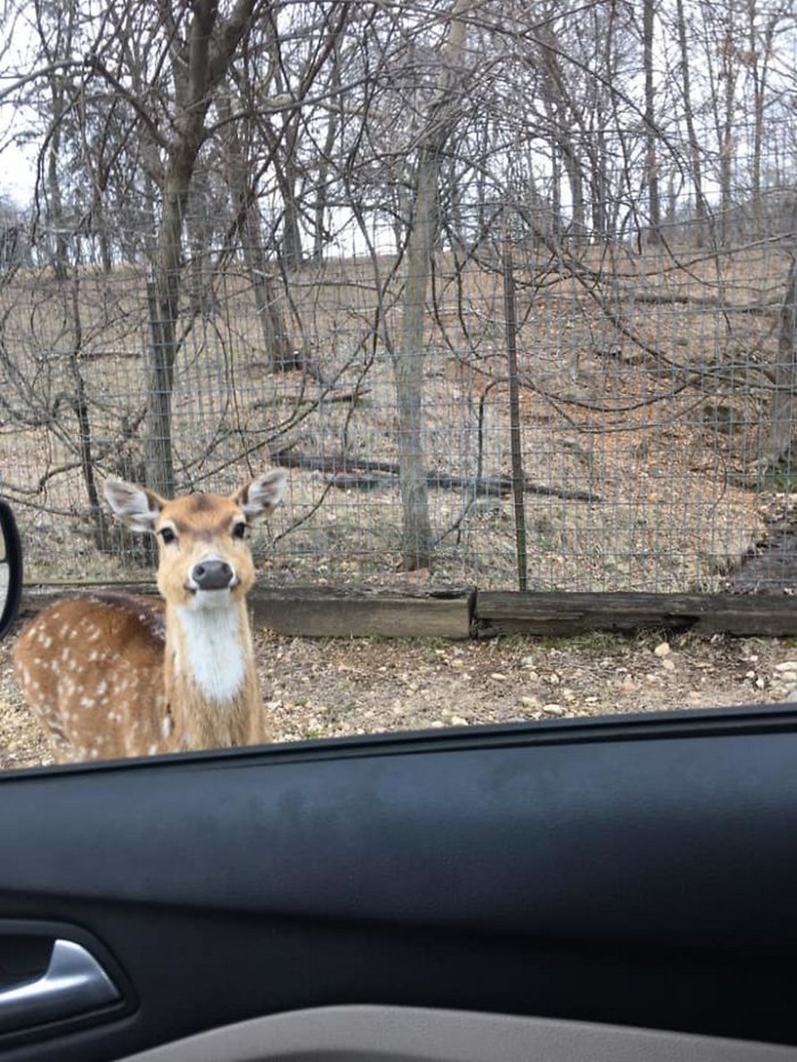 Ce groupe Facebook est dédié aux pires photos d’animaux sauvages qui sont si moches qu’elles sont dôles