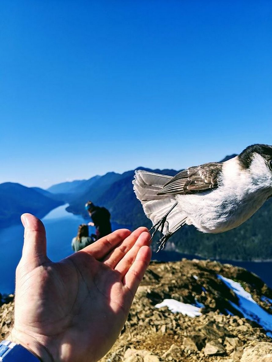 Ce groupe Facebook est dédié aux pires photos d’animaux sauvages qui sont si moches qu’elles sont dôles