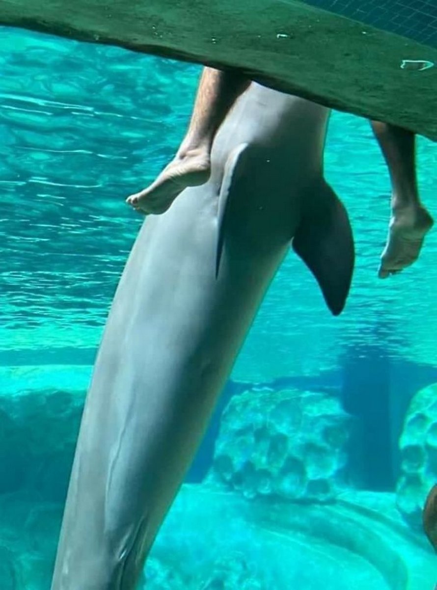 Ce groupe Facebook est dédié aux pires photos d’animaux sauvages qui sont si moches qu’elles sont dôles