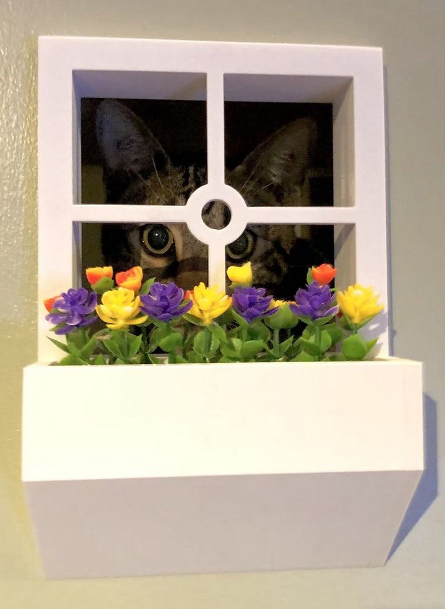https://www.ipnoze.com/wordpress/wp-content/uploads/2020/04/tours-pour-chats-racoutu-006.jpg