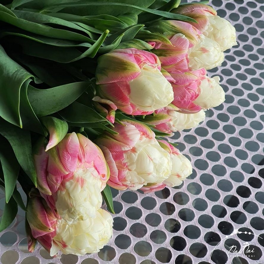 Les tulipes de crème glacée existent et ces 10 photos vont te donner faim