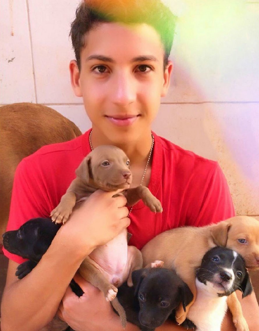 Un ado de 17 ans ouvre un refuge pour animaux unique et il a déjà sauvé 22 chiens et 4 chats