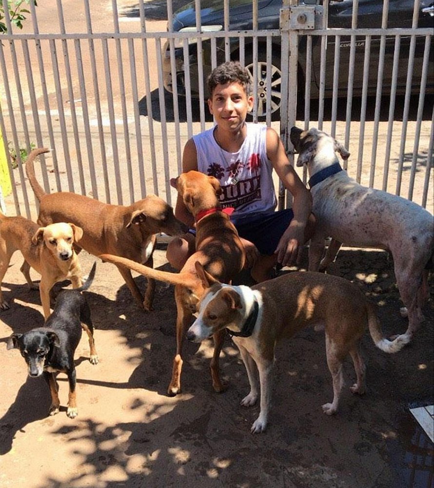 Un ado de 17 ans ouvre un refuge pour animaux unique et il a déjà sauvé 22 chiens et 4 chats