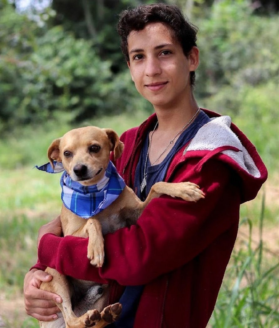 Un ado de 17 ans ouvre un refuge pour animaux unique et il a déjà sauvé 22 chiens et 4 chats