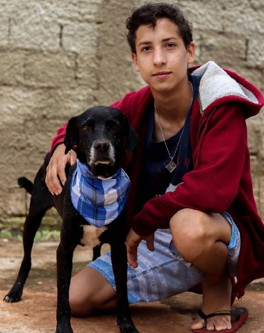 Un ado de 17 ans ouvre un refuge pour animaux unique et il a déjà sauvé 22 chiens et 4 chats