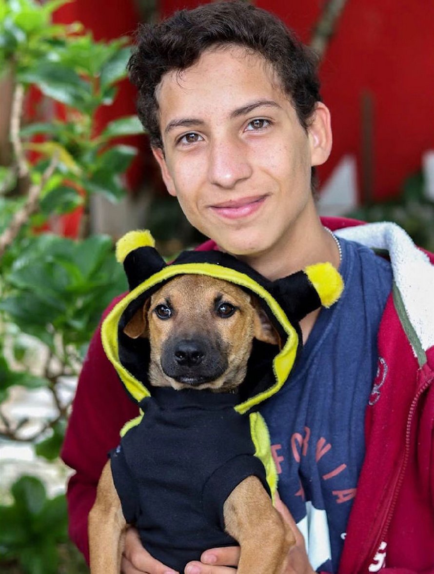 Un ado de 17 ans ouvre un refuge pour animaux unique et il a déjà sauvé 22 chiens et 4 chats