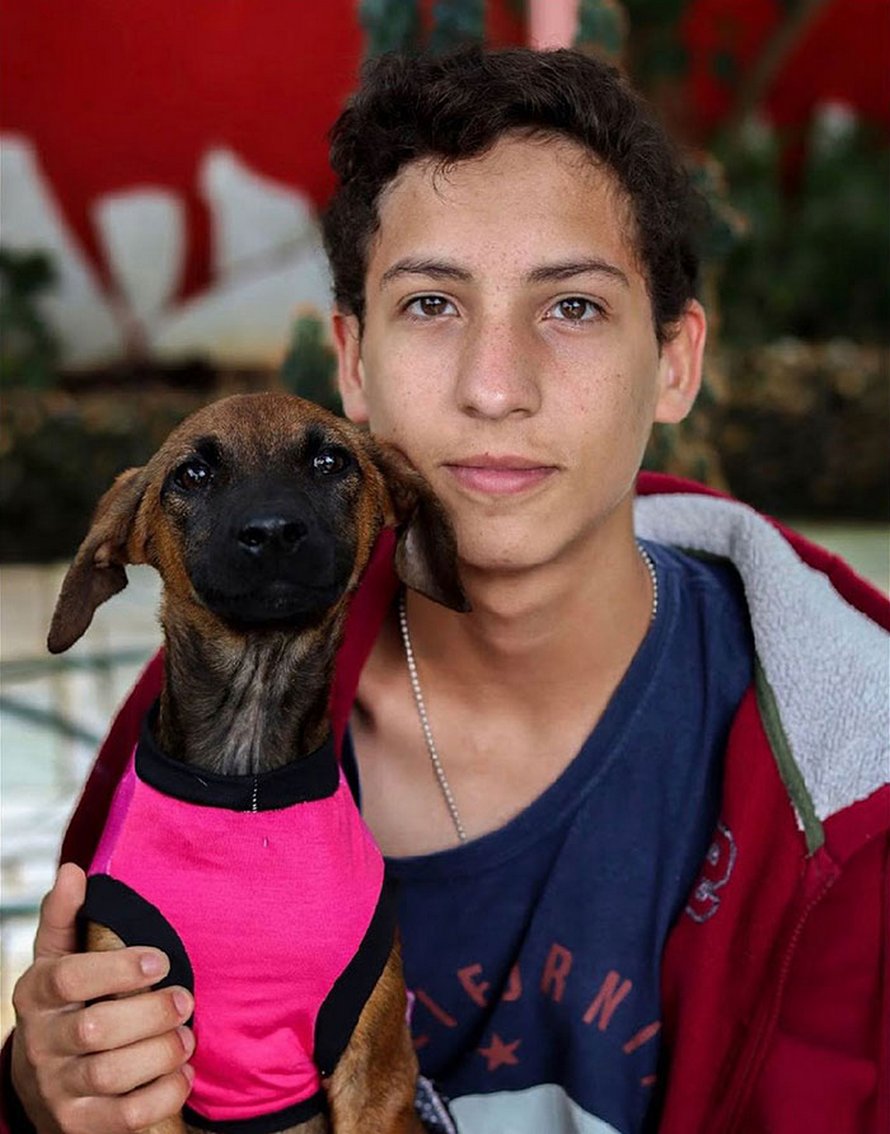 Un ado de 17 ans ouvre un refuge pour animaux unique et il a déjà sauvé 22 chiens et 4 chats