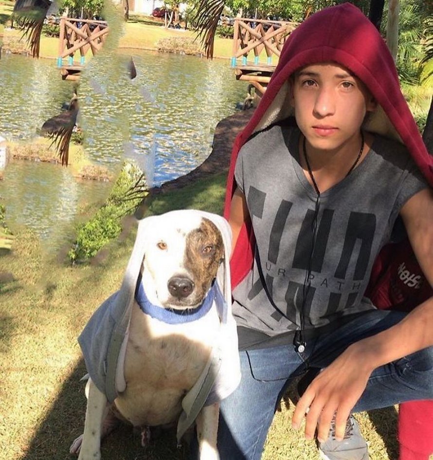Un ado de 17 ans ouvre un refuge pour animaux unique et il a déjà sauvé 22 chiens et 4 chats