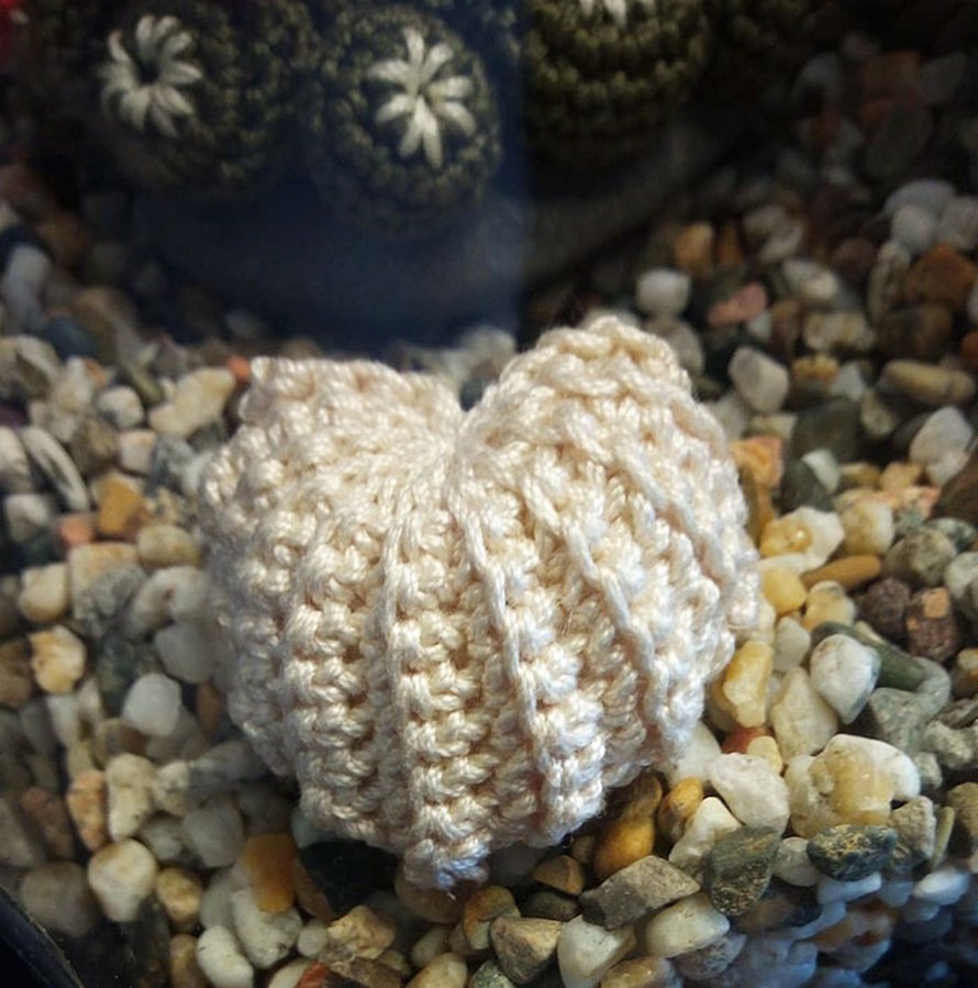 Une artiste italienne a créé un superbe aquarium au crochet