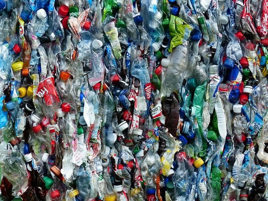 Coca-Cola et Carlsberg présentent des bouteilles à base de plantes qui se dégradent en 1 an