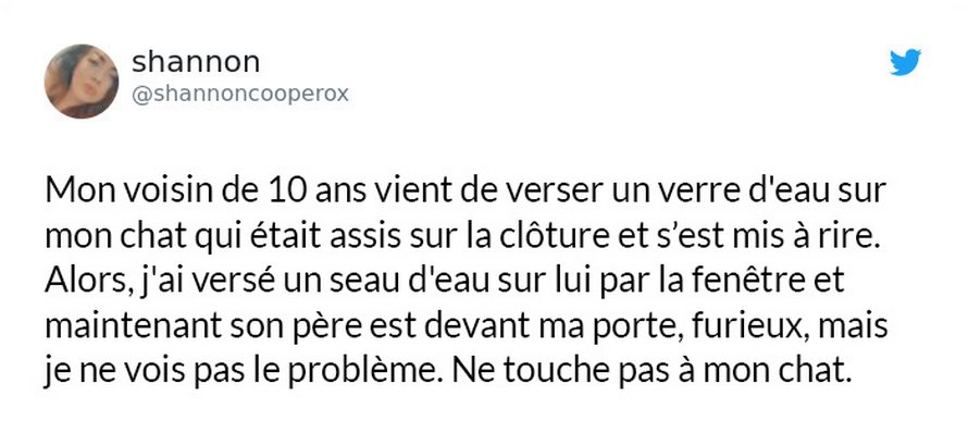 Un enfant verse de l’eau sur le chat d’une femme alors elle lui enseigne une leçon en lui versant un seau d’eau dessus