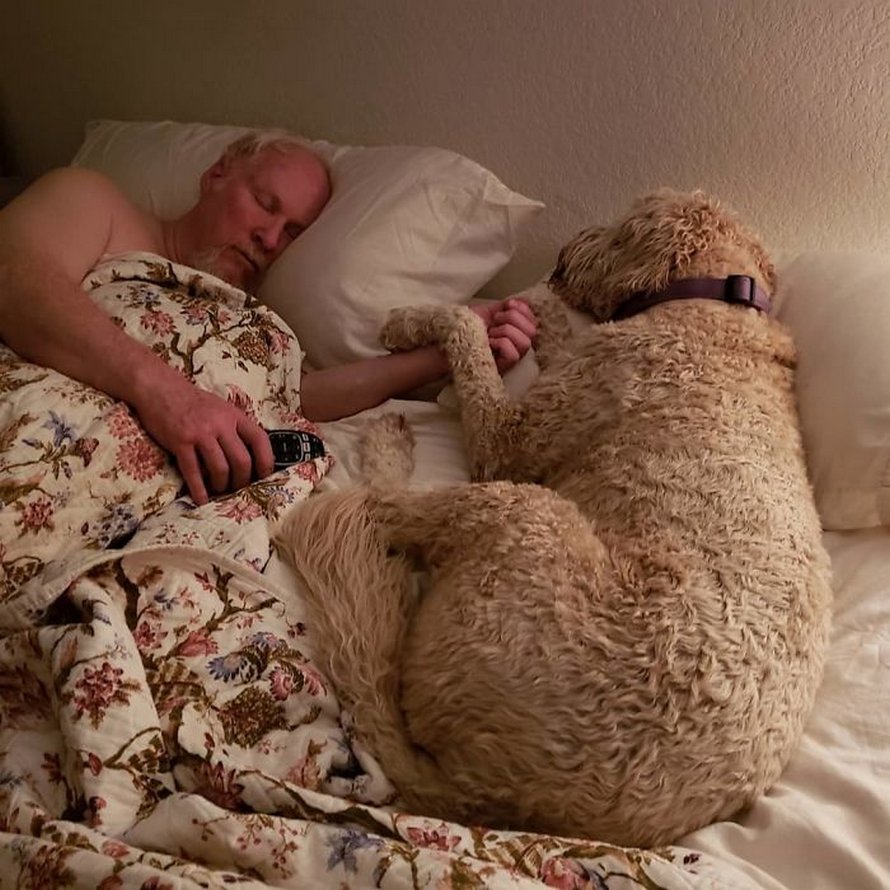 https://www.ipnoze.com/wordpress/wp-content/uploads/2020/05/chats-chiens-volent-place-lit-033.jpg