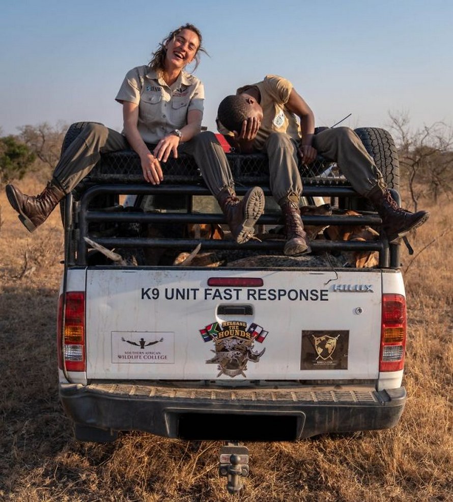 Des chiens entraînés à protéger la faune sauvent 45 rhinocéros des braconniers