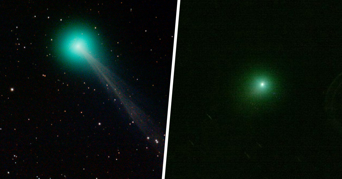 Une comète verte avec une queue de 16 millions de kilomètres de long sera visible ce soir alors qu’elle survolera la Terre