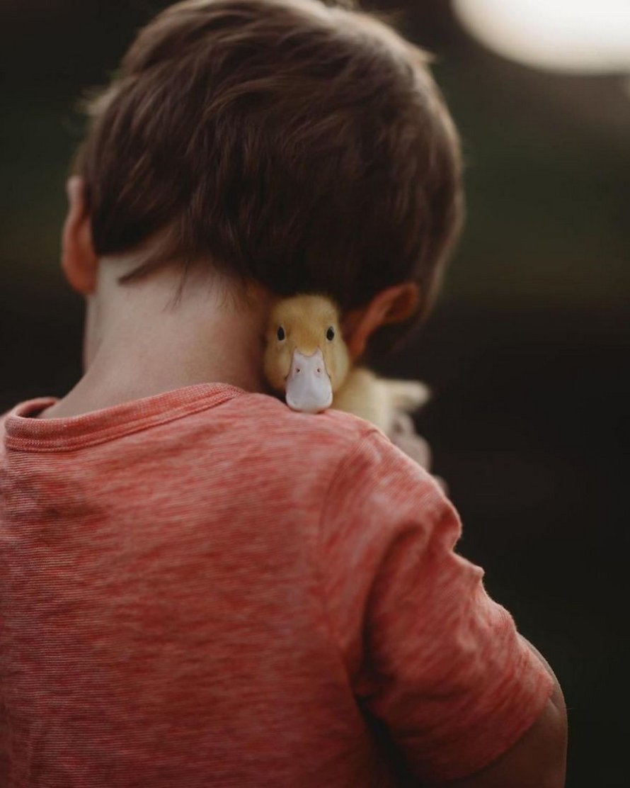 J’ai capturé l’innocence des enfants avec des animaux en 33 clichés attendrissants