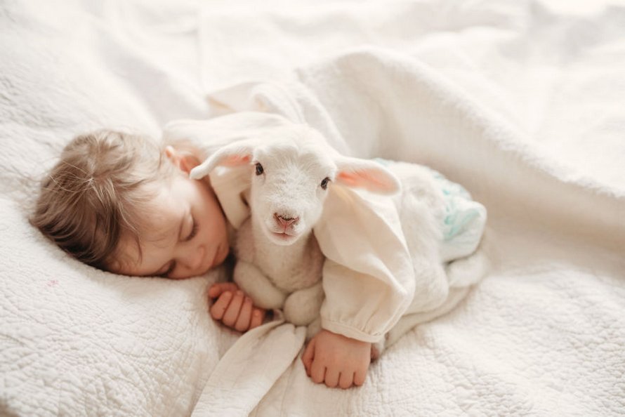 J’ai capturé l’innocence des enfants avec des animaux en 33 clichés attendrissants