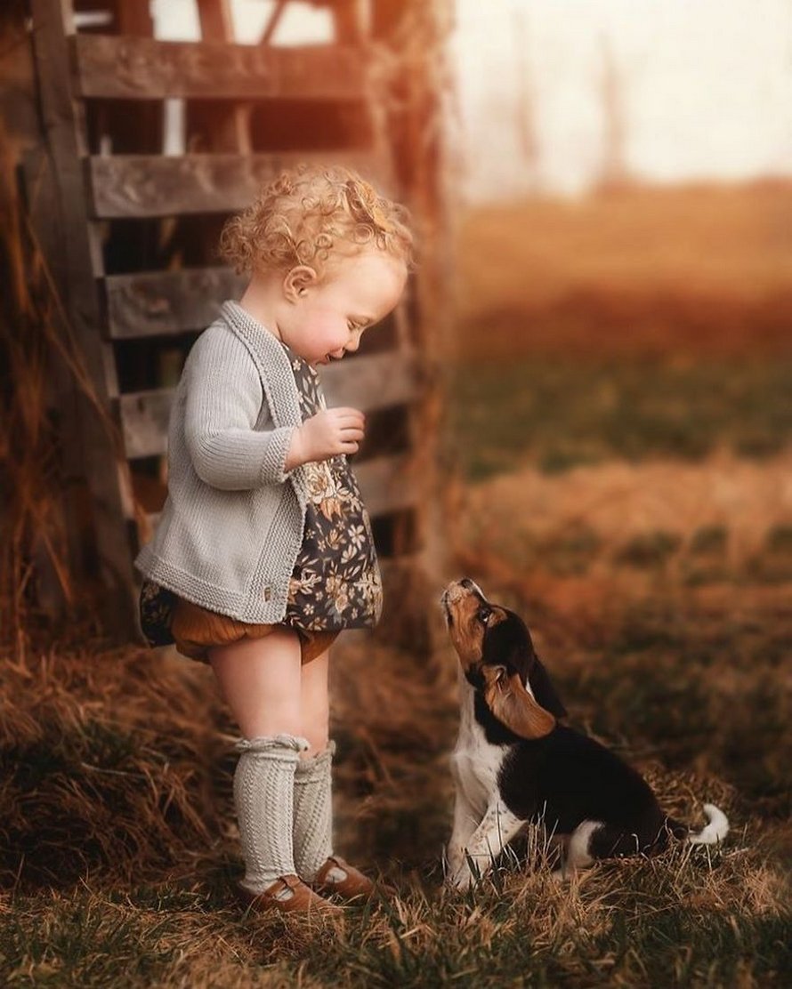 J’ai capturé l’innocence des enfants avec des animaux en 33 clichés attendrissants