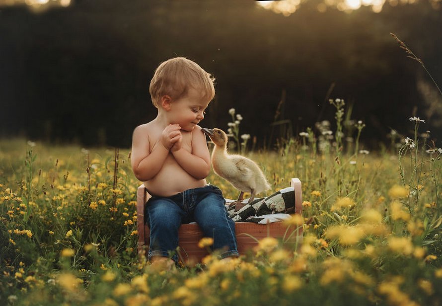 J’ai capturé l’innocence des enfants avec des animaux en 33 clichés attendrissants