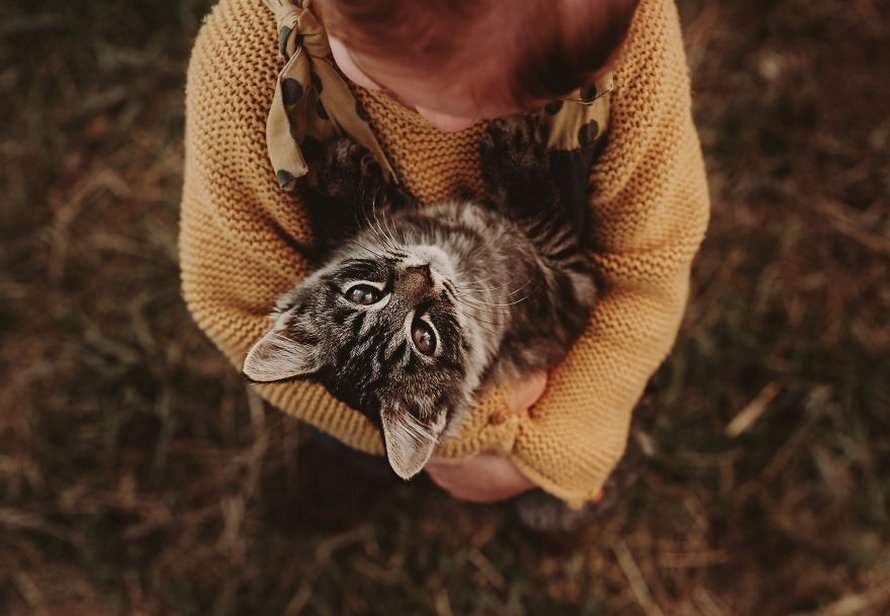 J’ai capturé l’innocence des enfants avec des animaux en 33 clichés attendrissants