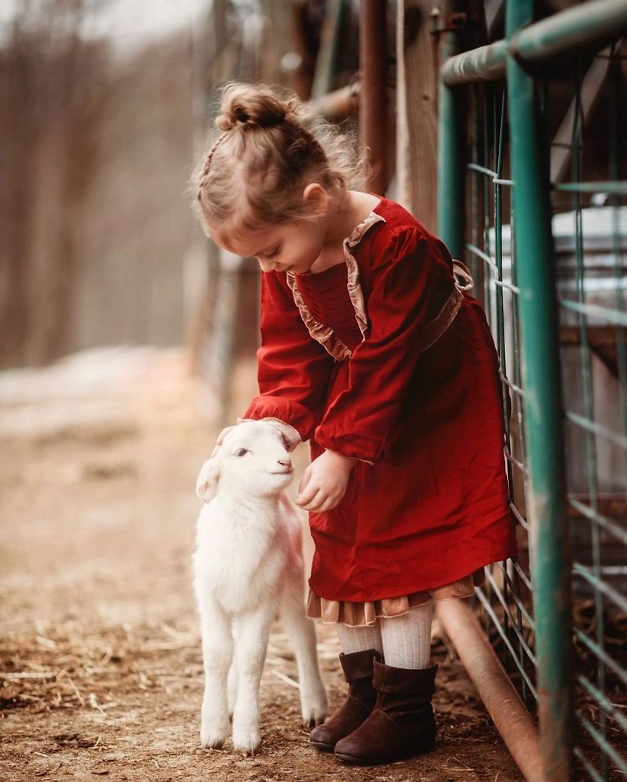 J’ai capturé l’innocence des enfants avec des animaux en 33 clichés attendrissants