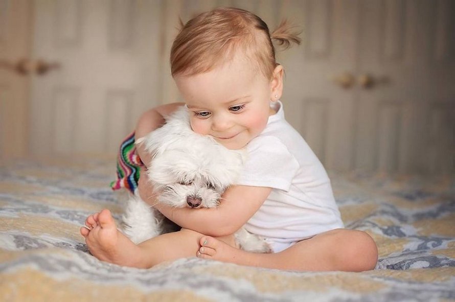 J’ai capturé l’innocence des enfants avec des animaux en 33 clichés attendrissants
