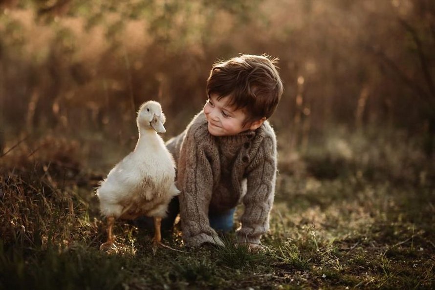 J’ai capturé l’innocence des enfants avec des animaux en 33 clichés attendrissants