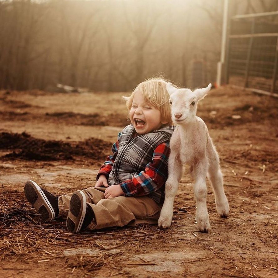 J’ai capturé l’innocence des enfants avec des animaux en 33 clichés attendrissants
