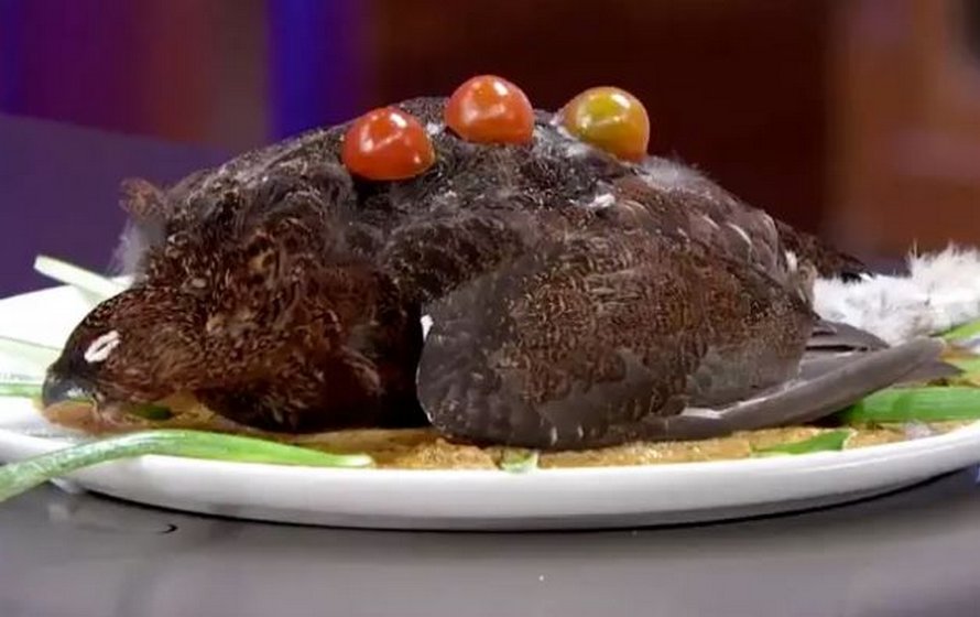 Une concurrente de MasterChef a été expulsée de l’émission pour avoir servi un oiseau mort aux juges