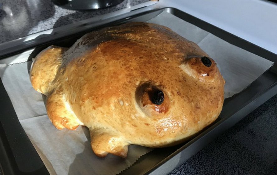 Des gens montrent leurs tentatives de faire du pain en forme de grenouille et voici les 22 meilleurs et pires résultats