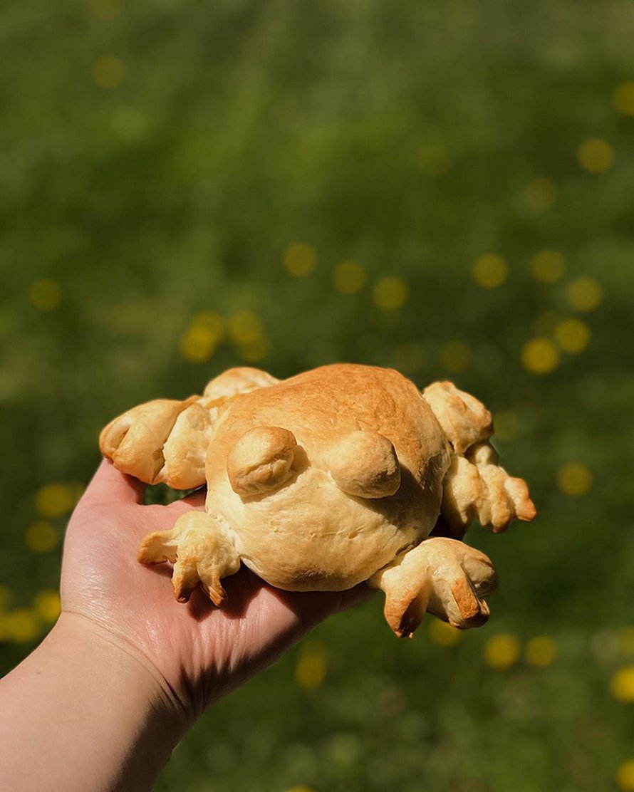 Des gens montrent leurs tentatives de faire du pain en forme de grenouille et voici les 22 meilleurs et pires résultats
