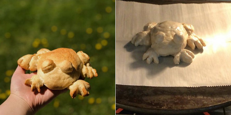 Des gens montrent leurs tentatives de faire du pain en forme de grenouille et voici les 22 meilleurs et pires résultats