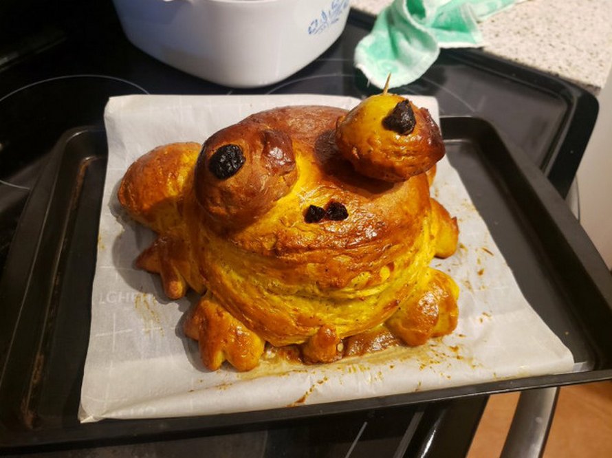 Des gens montrent leurs tentatives de faire du pain en forme de grenouille et voici les 22 meilleurs et pires résultats