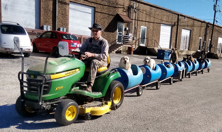 Un homme de 80 ans construit un train pour permettre à des chiens errants secourus de partir à l’aventure