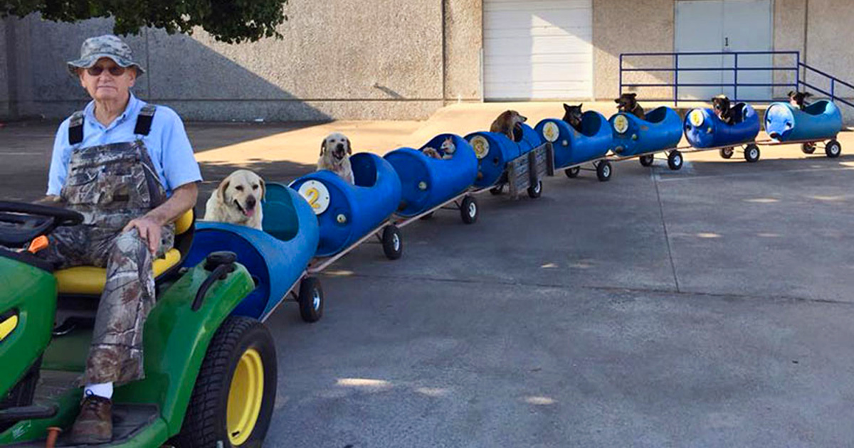 Un homme de 80 ans construit un train pour permettre à des chiens errants secourus de partir à l’aventure