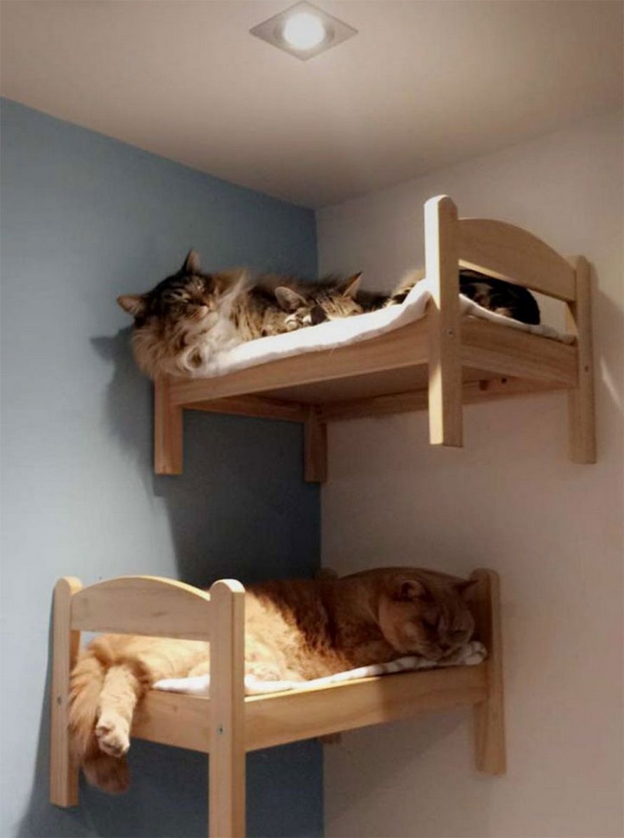 IKEA vend de petits lits pour les poupées d’enfants, mais ces 30 personnes les ont achetés pour leurs chats