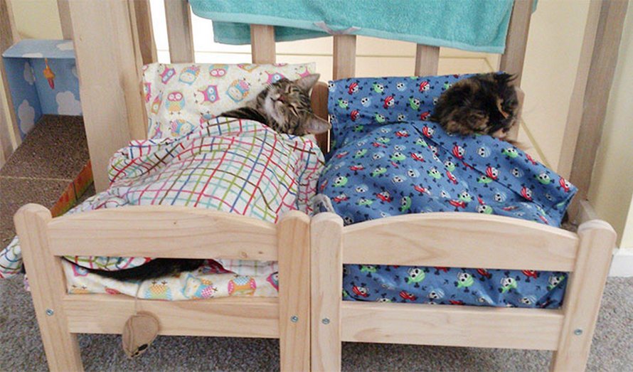 IKEA vend de petits lits pour les poupées d’enfants, mais ces 30 personnes les ont achetés pour leurs chats
