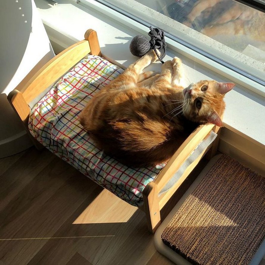 IKEA vend de petits lits pour les poupées d’enfants, mais ces 30 personnes les ont achetés pour leurs chats