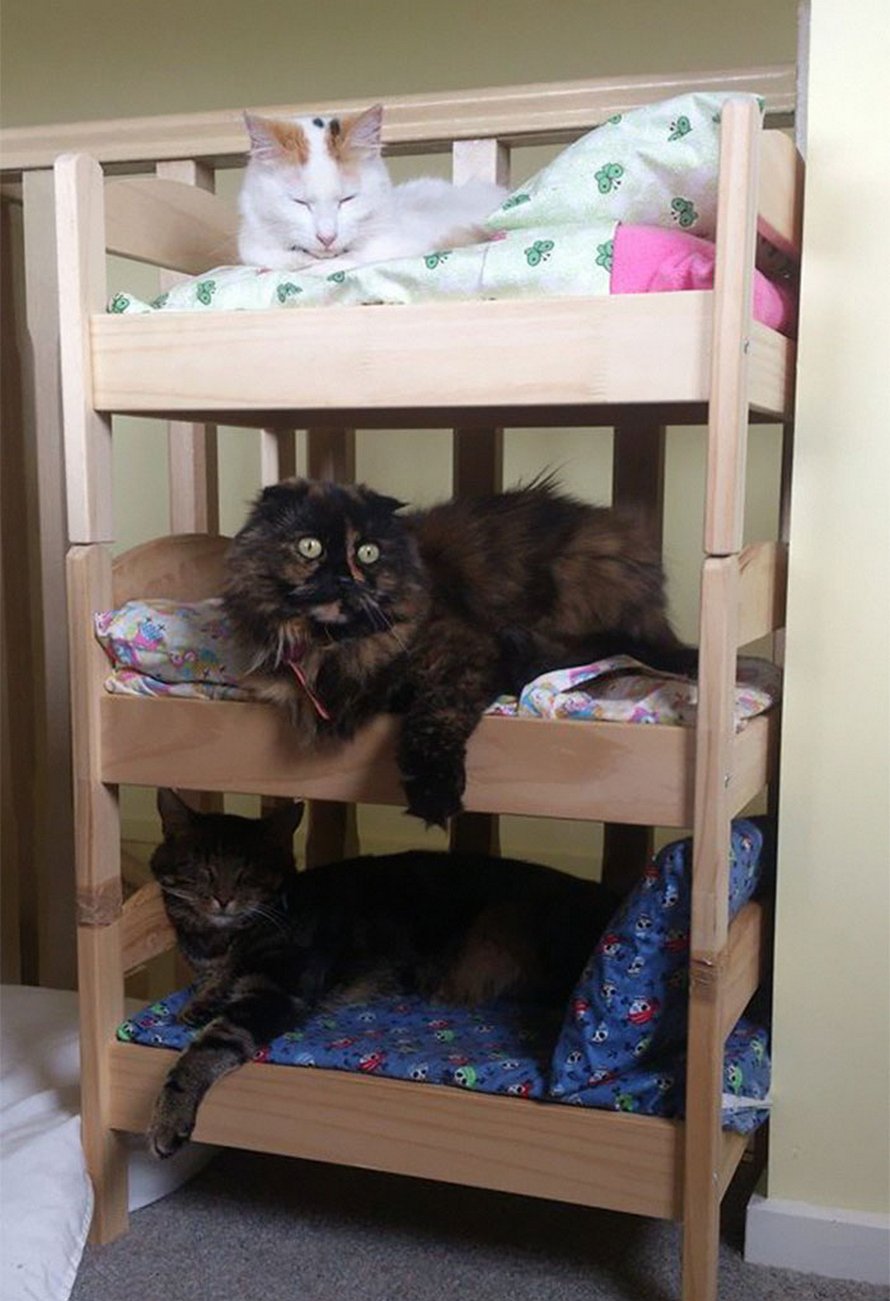 IKEA vend de petits lits pour les poupées d’enfants, mais ces 30 personnes les ont achetés pour leurs chats