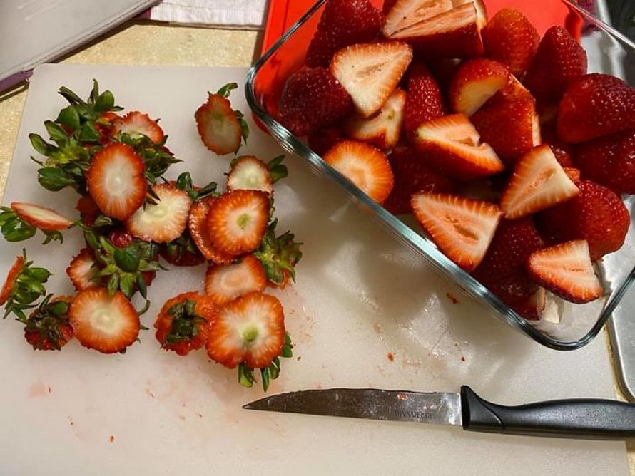 Si tu mets des fraises dans de l’eau salée, de minuscules insectes en sortent